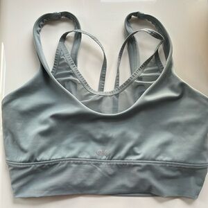 Baby blue alo yoga sports bra
